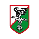 Sokół Kleczew