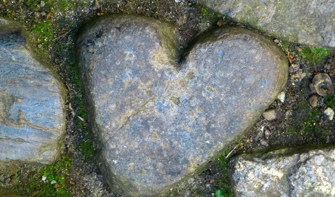 Medvirkende i Heart Of Stone